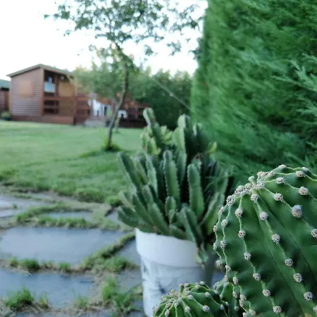 La Facera, De Madera Campingplads Valparaíso