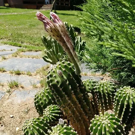 La Facera, De Madera Campingplads Valparaíso